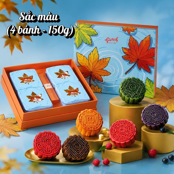 Hộp Bánh Trăng Sắc Màu