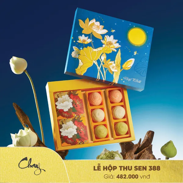 Lễ hộp đặc biệt 388 chay