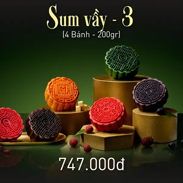 Hộp Sum Vầy 3