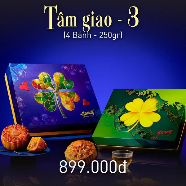 Hộp Tâm Giao 3