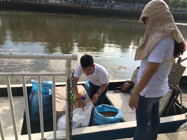 Chuẩn bị thức ăn cho cá