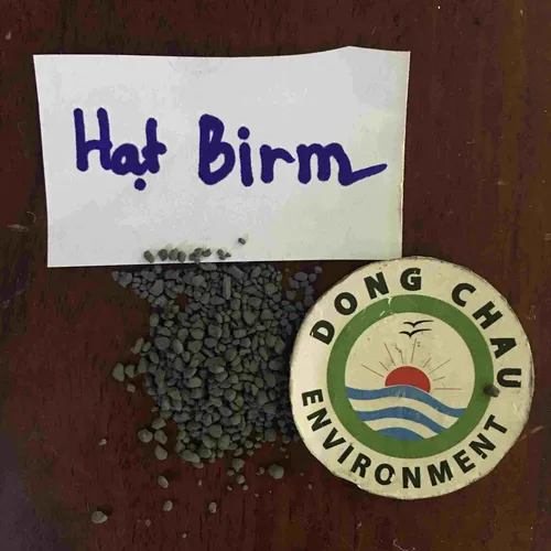 Hạt Birm: Công nghệ tiên tiến cho hệ thống lọc nước
