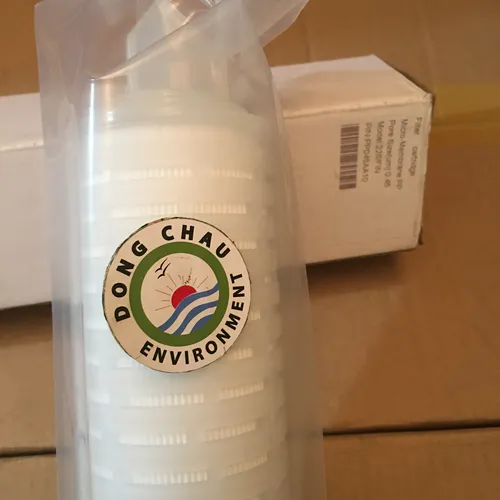 Lõi lọc giấy xếp 0.45 micron 10 inch oring 226