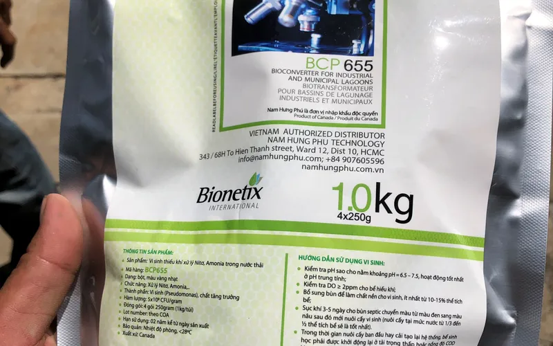 Bionetix BCP 655 – Men Vi Sinh Xử Lý Nitơ Amonia