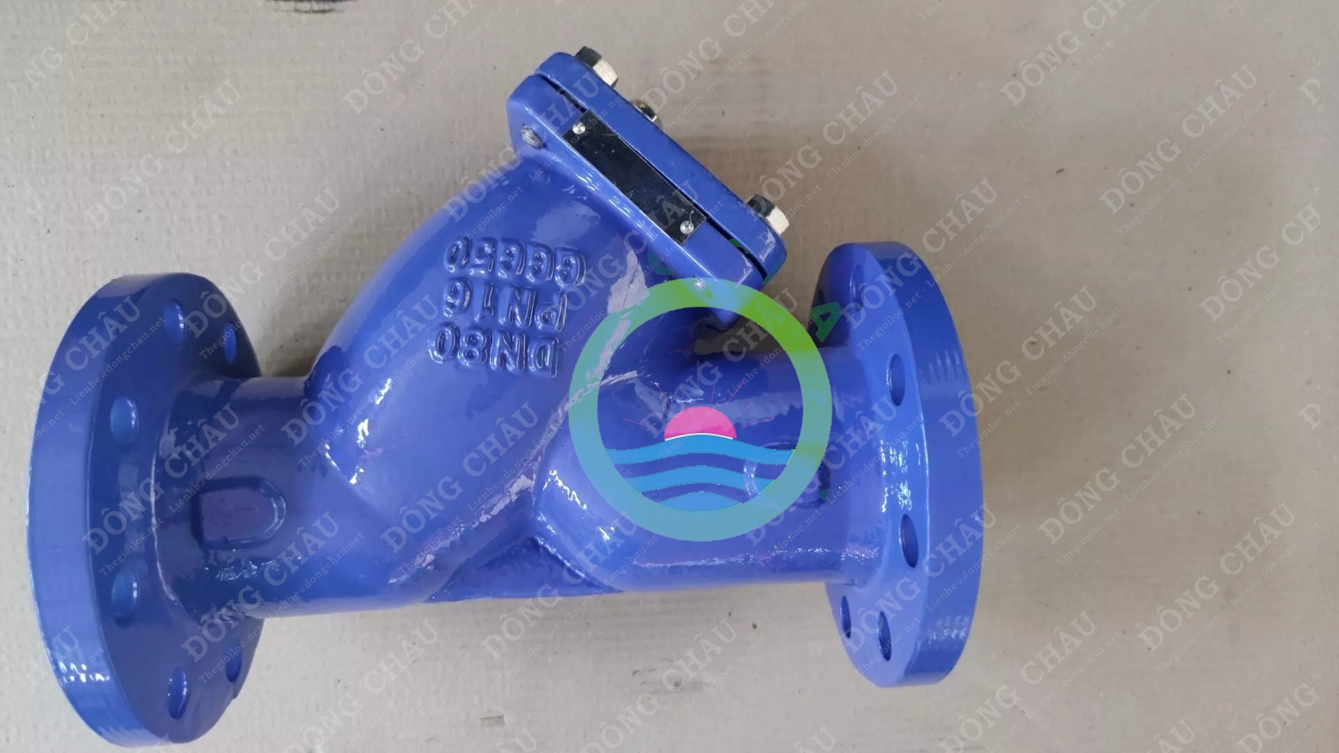 Y Strainer lọc bằng chất liệu Gang