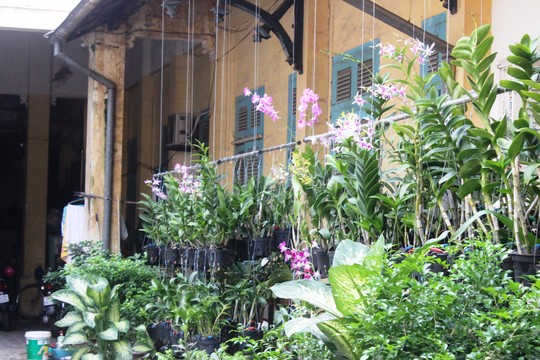 Bán biệt thự cổ 110-112 Võ Văn Tần góc Bà Huyện Thanh Quan Quận 3 giá 35 triệu USD