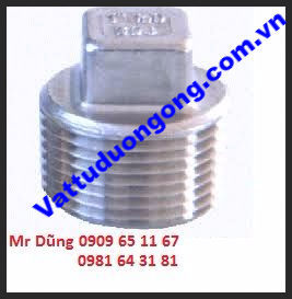 NÚT BỊT REN ( Hex. / Square Head Plug) NGOÀI ÁP LỰC THÉP A105 #3000