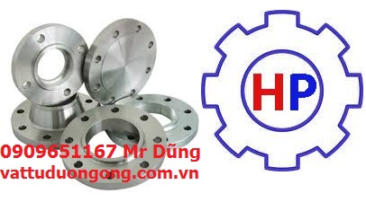 Mặt bích inox 316