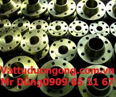 Mặt bích BS4504-PN25