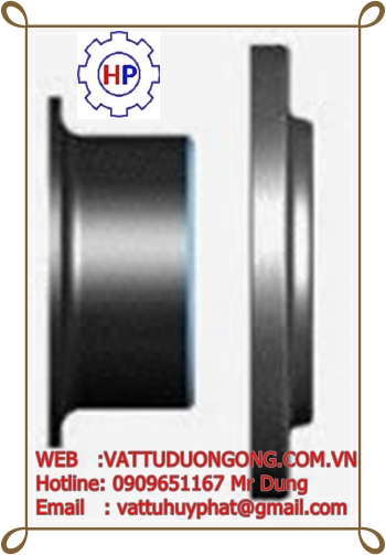 mặt bích Lap Joint flange