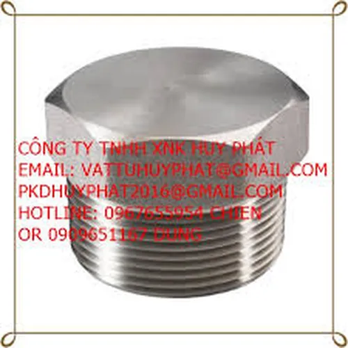 NÚT BỊT REN ( Hex. / Square Head Plug)  NGOÀI ÁP LỰC THÉP A105 #3000