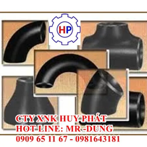 phụ kiện hàn ( co , tê , bầu , chén) SCH80