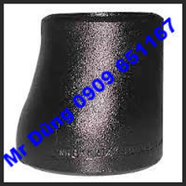 BẨU GIẢM HÀN LỆCH TÂM - Ecc. Reducer A234 WPB