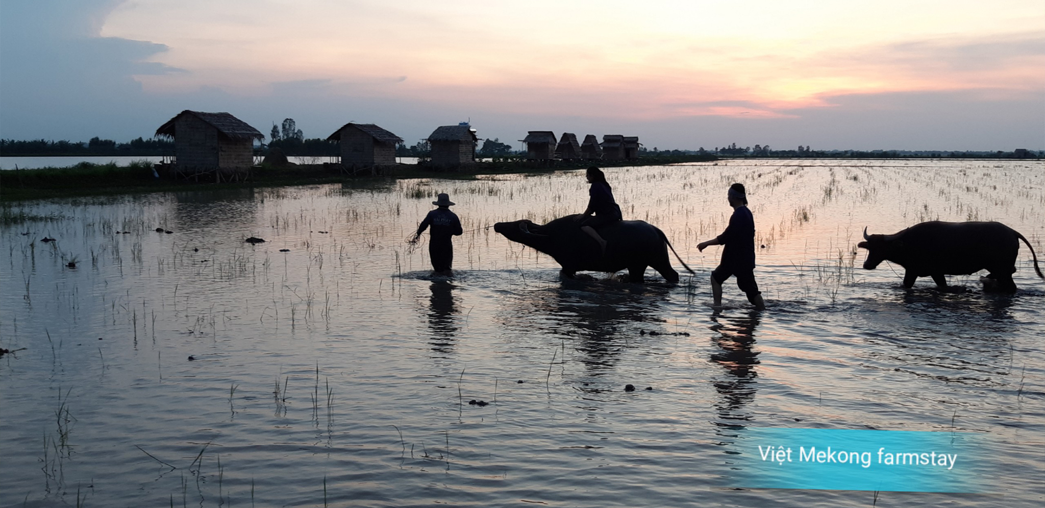 Du_lịch_sinh_thái_miền_Tây