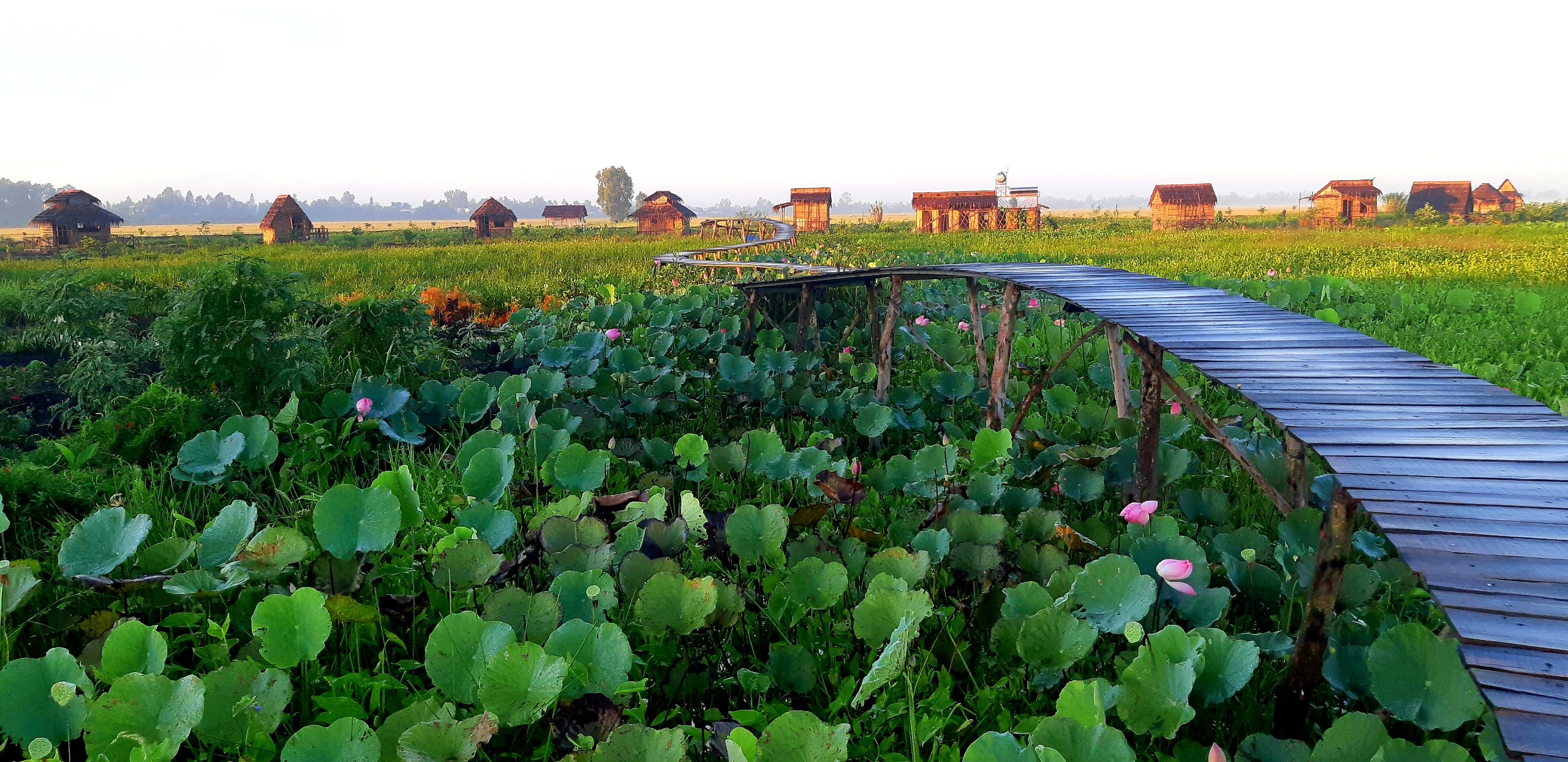 Du_lịch_sinh_thái_miền_Tây_VietMekong farmstay