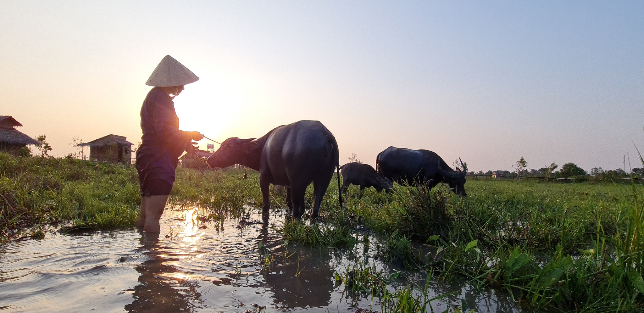Du_lịch_sinh_thái