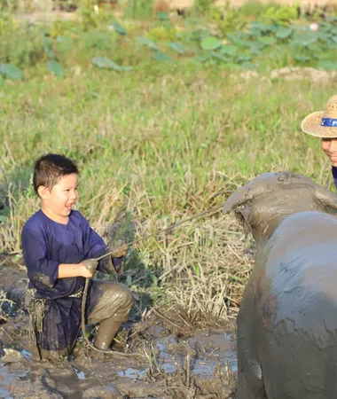 TRẠI HÈ Ở ĐỒNG THÁP