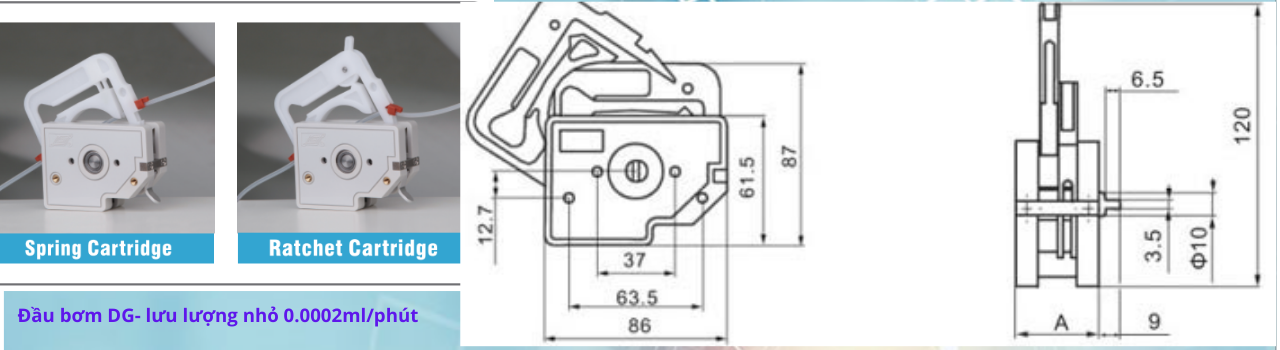 Bản vẽ thông số kỹ thuật của đầu bơm DG