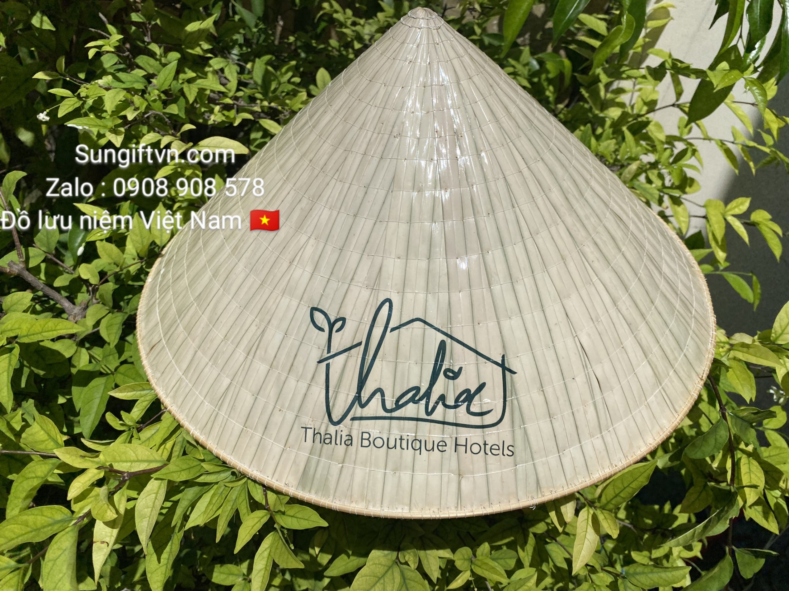 in non la viet nam that dep logo săc net