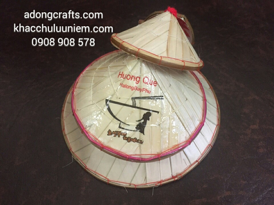 sau non la trang tri in hinh logo viet nam