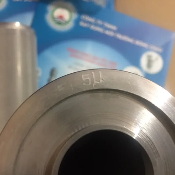 5 Micron 10 Inch, Lõi Lọc Inox Universal