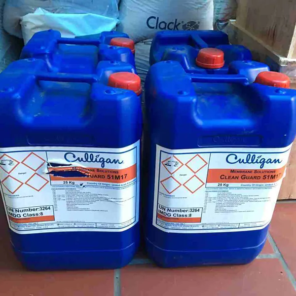 Chất Làm Sạch Chất Vô Cơ Màng RO, UF Culligan Clean Guard 51M17