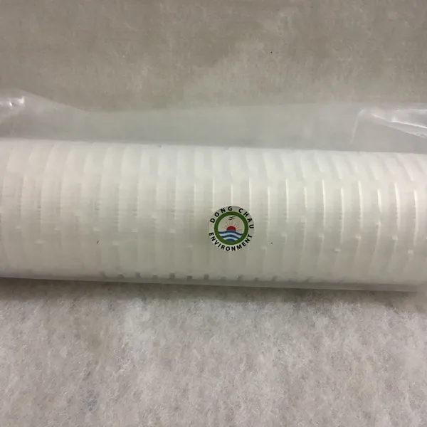 Lõi lọc giấy xếp 0.1 micron 10 inch DOE Clean Green