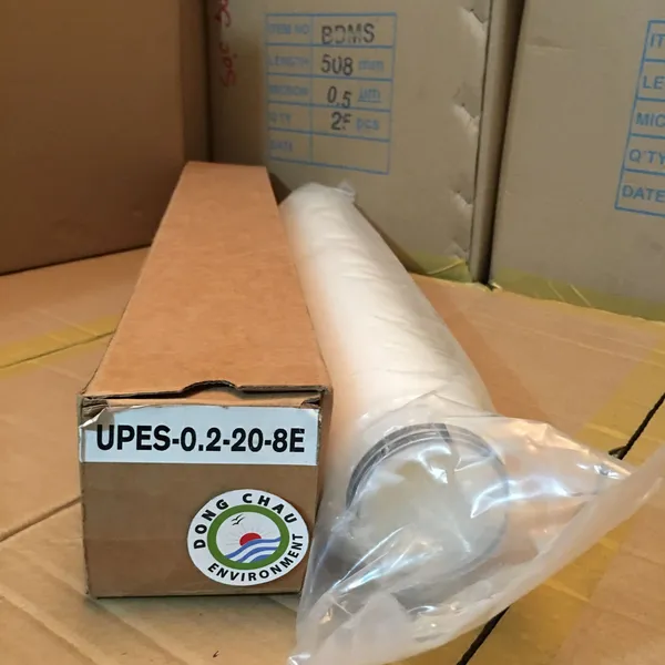 Lõi lọc giấy xếp PES 0.2 micron 20 inch oring lọc tinh