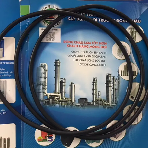 Ron Chịu nhiệt và hóa chất cho bình inox lọc túi