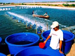 loc nuoc nuoi trong thuy san