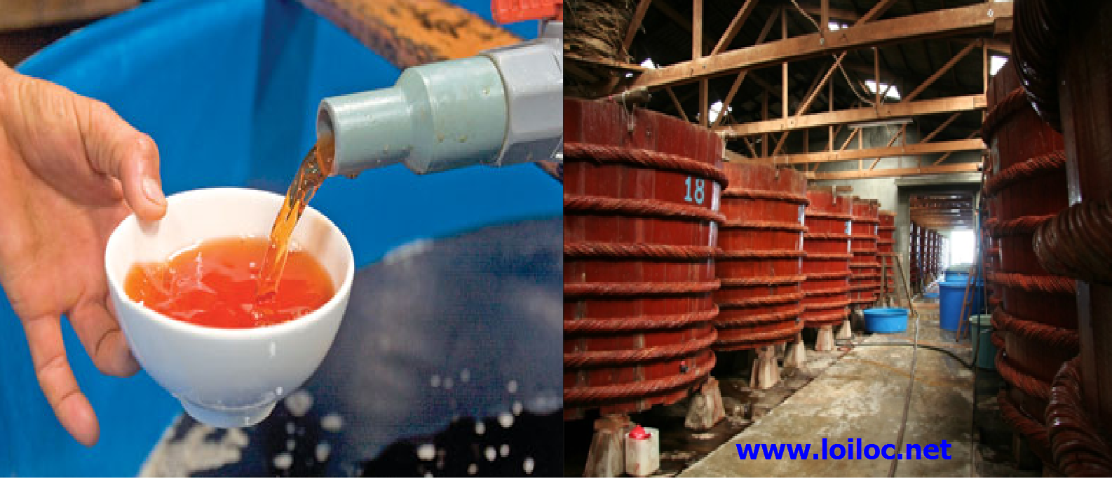 Sản xuất nước mắm truyền thống