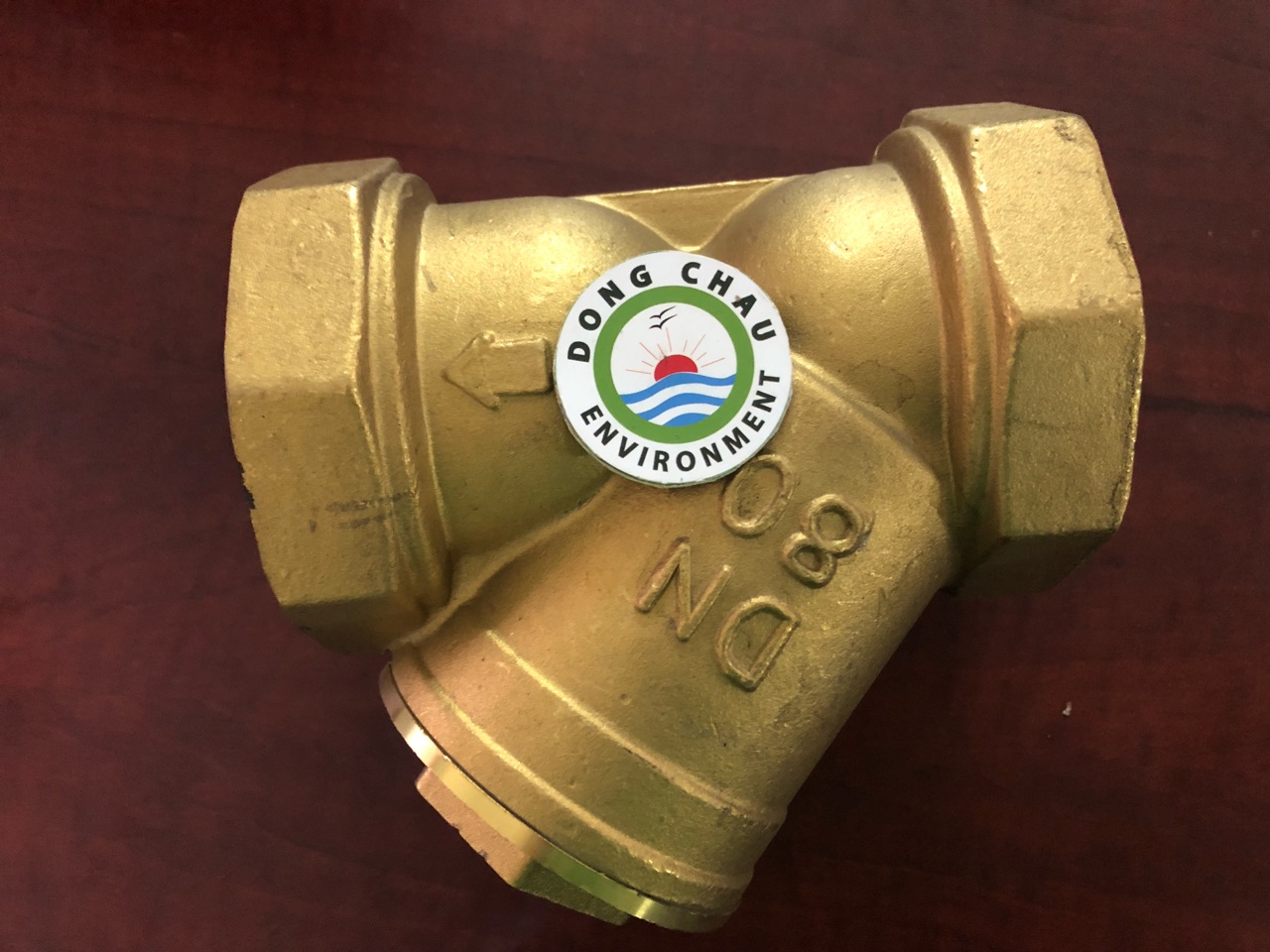 Lọc Chữ Y Strainer DN80 Bằng Đồng