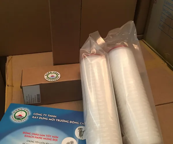 Lõi Lọc Giấy Xếp 0.2 Micron 10 Inch Oring DOE Trung Quốc