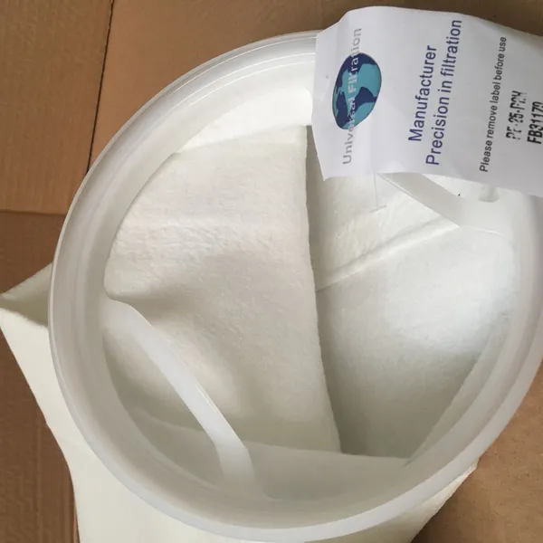 Túi lọc PE 25 micron size 2