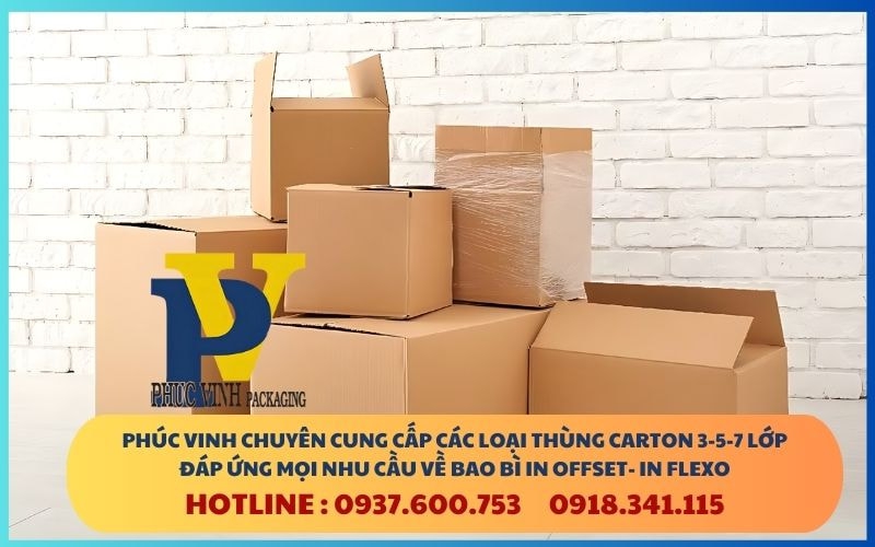 Các Yếu Tố Cần Xem Xét Khi Lựa Chọn Thùng Carton Đóng Hàng Cho Vận Chuyển