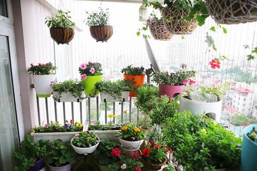 Bộ ghế tựa, sofa cũng đem lại sức sống cho phòng khách Bộ ghế tựa, sofa cũng đem lại sức sống cho phòng khách