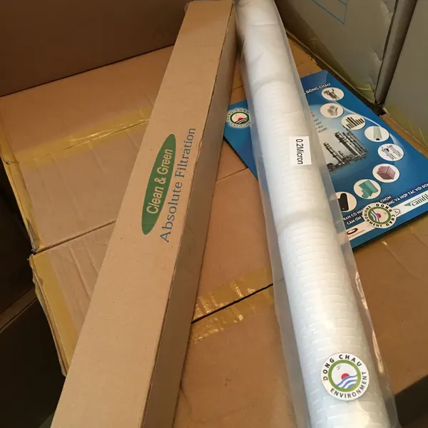 Lõi lọc giấy xếp 0.2 micron 30 inch DOE Clean Green