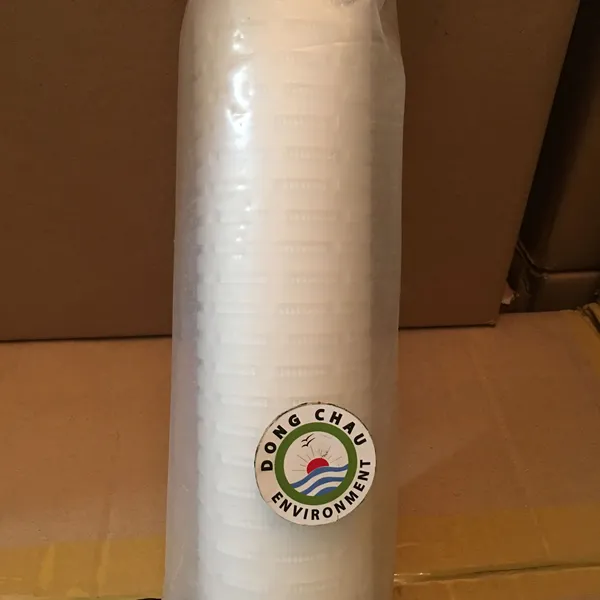 Lõi lọc giấy xếp 0.45 micron 10 inch DOE Trung Quốc