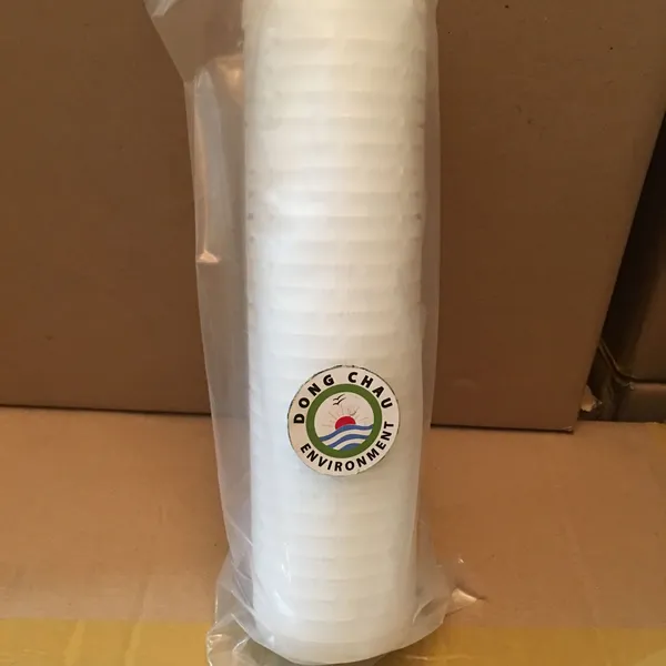 Lõi lọc giấy xếp 0.45 micron 10 inch oring 222 Clean Green