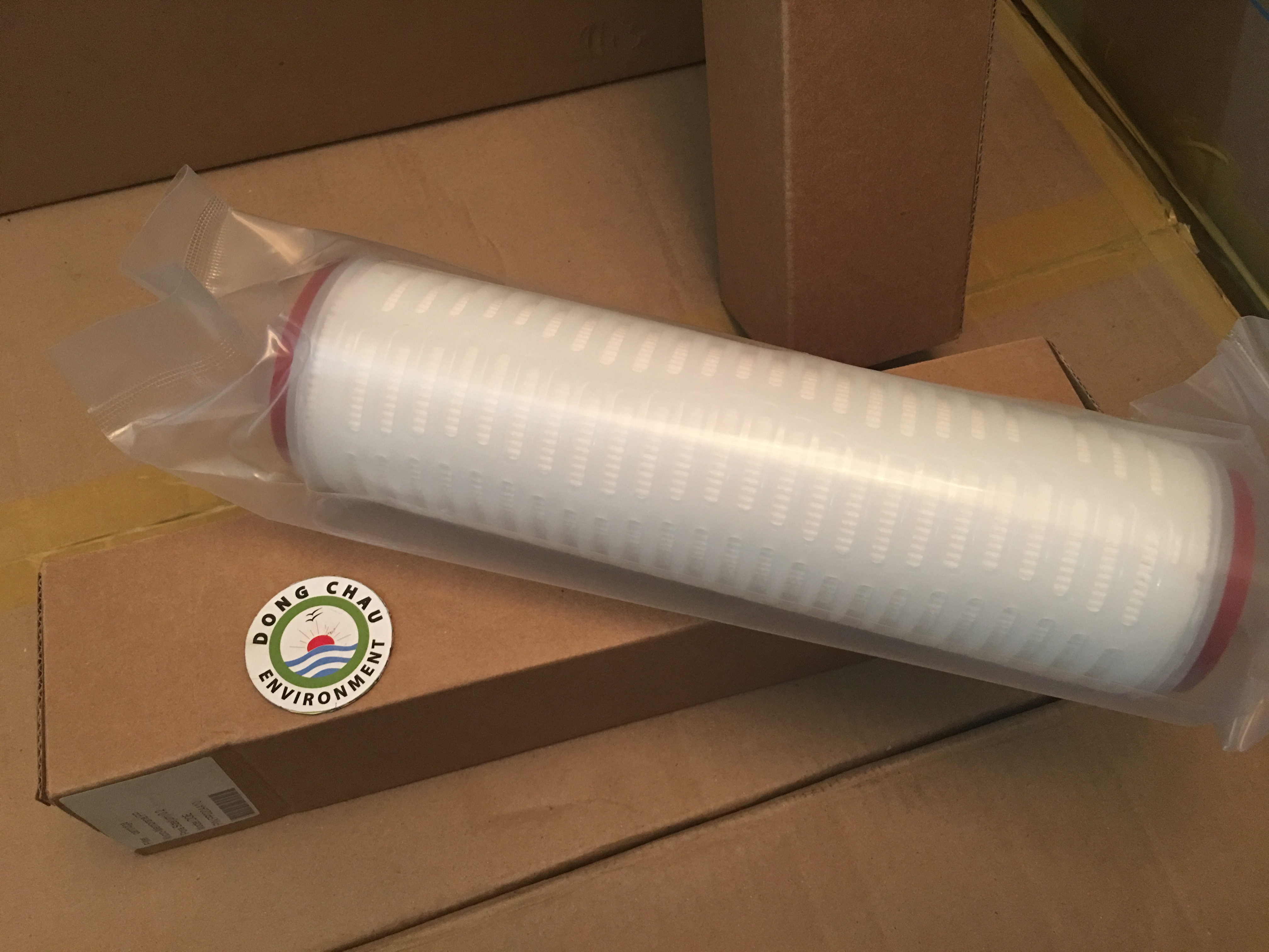 Lõi Lọc Giấy Xếp 0.2 Micron 10 Inch Oring DOE Trung Quốc