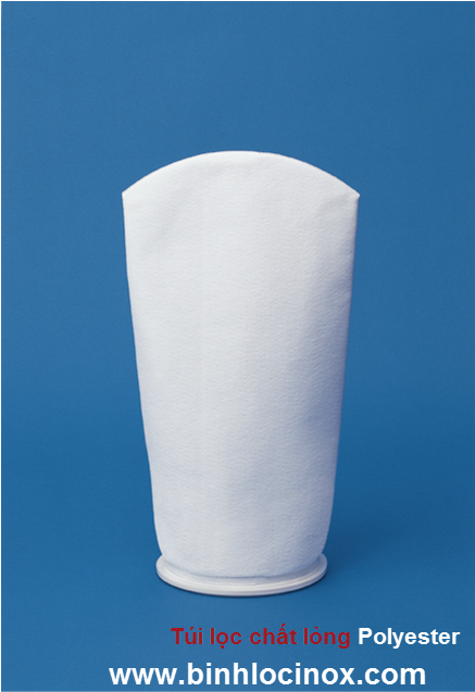 Túi Polyester dạng ép nhiệt