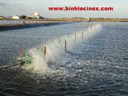 Hệ thống sục khí đầm nuôi tôm Hệ thống sục khí đầm nuôi tôm