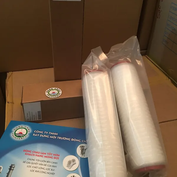 Lõi Lọc Giấy Xếp 0.2 Micron 10 Inch Oring DOE Trung Quốc