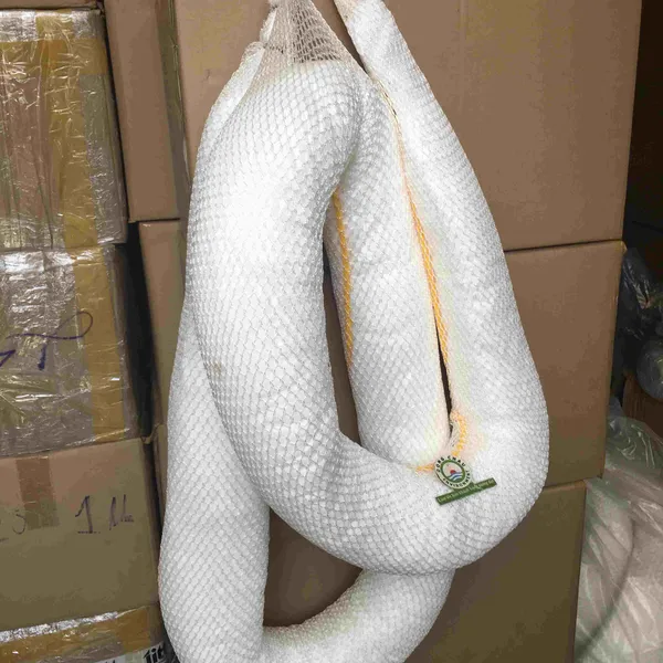 Phao thấm hút dầu đa năng Spilfyter