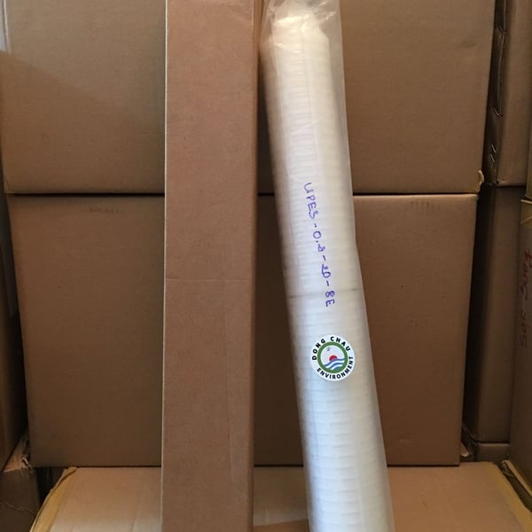 Lõi lọc giấy xếp PES 0.2 micron 20 inch oring