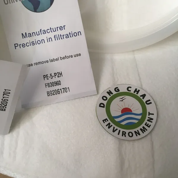 Túi lọc nước PE 5-micron size 2