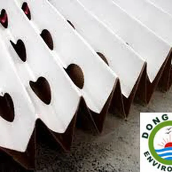 Giấy lọc buồng sơn khô 2 lớp