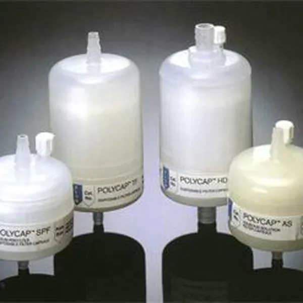 Lõi lọc nước Capsule PTFE