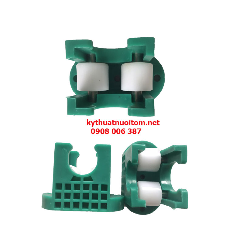 Con lăn xanh trong Con lăn xanh trong