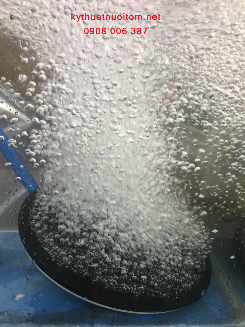 Thiết bị nuôi tôm - Đĩa nhựa tán khí Thiết bị nuôi tôm - Đĩa nhựa tán khí
